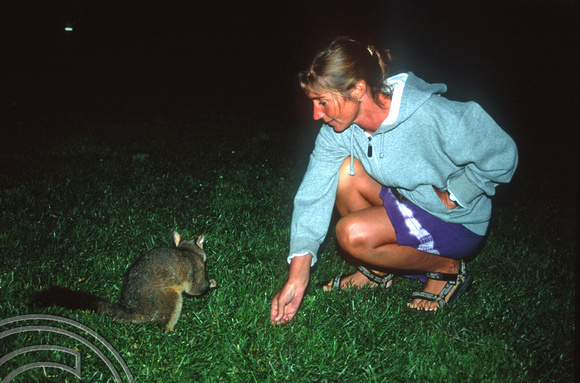 T8704. Lynn feeding a Possum. Melbourne. Victoria. Australia. January 1999