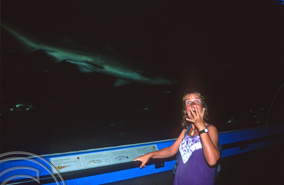 T8730. Lynn and Shark. Manly. Sydney. New South Wales. Australia.  January 1999