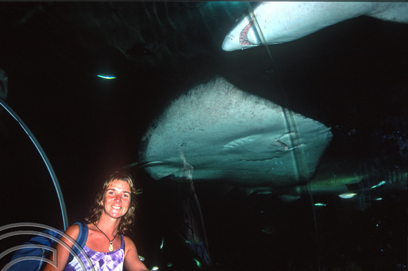 T8731. Lynn and Shark. Manly. Sydney. New South Wales. Australia.  January 1999