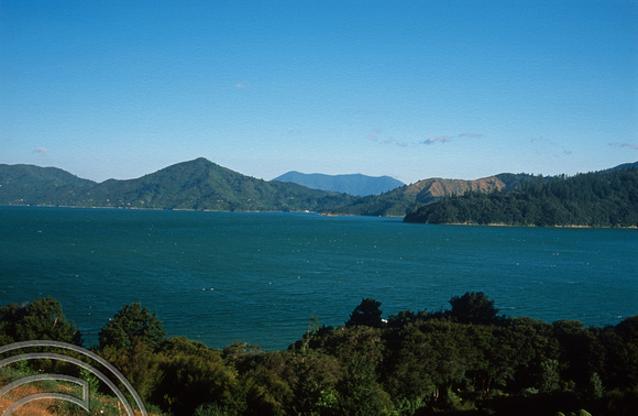 T8779. View of Kenepuru Sound. South Island. New Zealand.  8th February 1999