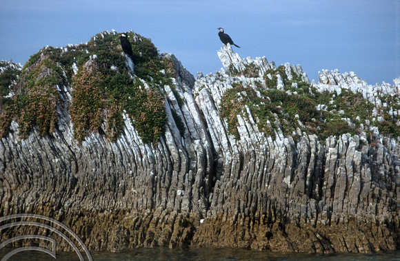 T8835. Rock formations. Kaikoura. South Island. New Zealand. 11th February 1999