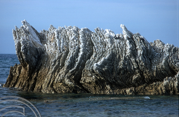 T8836. Rock formations. Kaikoura. South Island. New Zealand. 11th February 1999