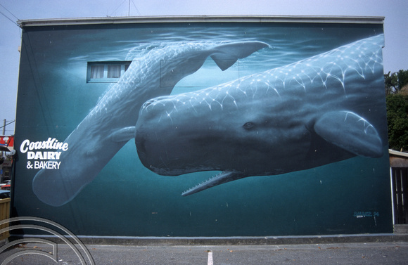 T8856. Whale mural. Kaikoura. South Island. New Zealand. 11th February 1999