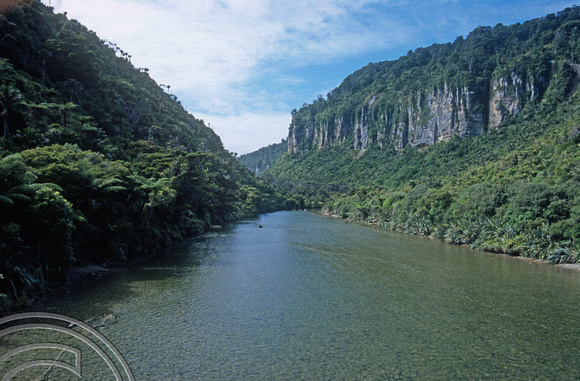 T8875. The Pororari river valley. Punakaiki. South Island. New Zealand. 17th February 1999