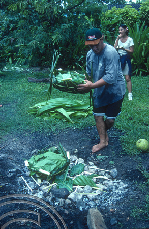 T9130. Preparing the fore pit. Piri Purito's. Rarotonga. Cook Islands. March 1999
