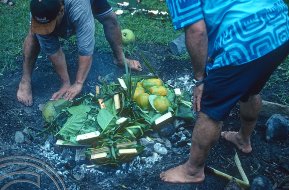 T9132. Placing food in the fire pit. Piri Purito's. Rarotonga. Cook Islands. March 1999