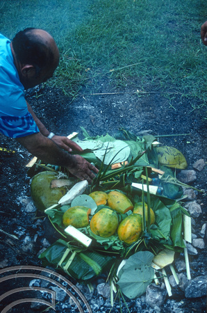 T9133. Placing food in the fire pit. Piri Purito's. Rarotonga. Cook Islands. March 1999