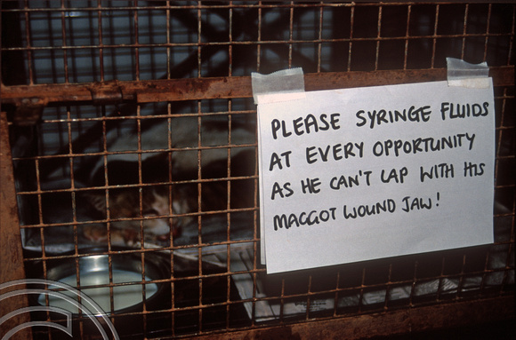 T9390. Sign on cats cage. Animal sanctuary. Mandrem. Goa. India. 1st February 2000