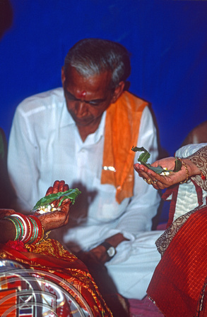 T9805. Performing the marriage ceremony. Bhavnagar. Gujarat. India. 19th February 2000