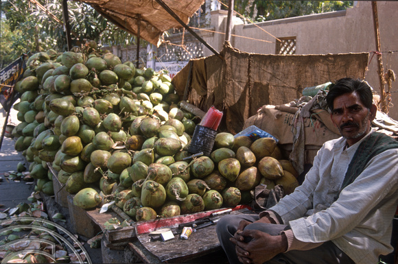 T9839. Man selling drinking coconuts. Ahmedabad. Gujarat. India. 21st February 2000