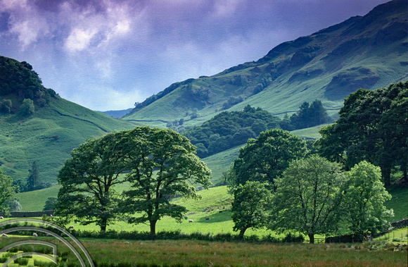 T10035. Trees with Scaleforce Force in the background. Borrowdale. England. 19th June 2000