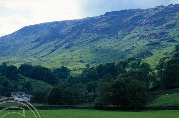 T10073. Looking up to Scaleclose Force. Seatoller. Borrowdale. England. 22nd June 2000