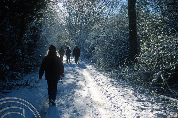 T10352. Walking in the snow. Bayford. Hertfordshire. England. 28th December 2000