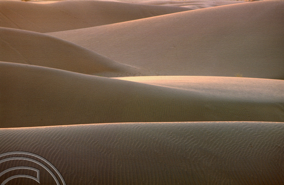 T4319. Dunes in the evening light. Sam Dunes. Rajasthan. India. December 1993.
