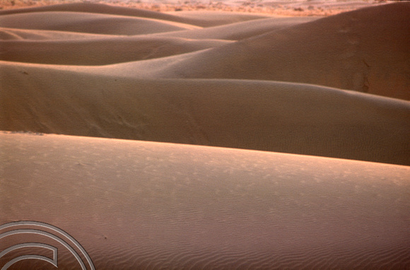 T4321. Dunes in the evening light. Sam Dunes. Rajasthan. India. December 1993.