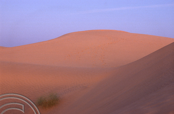 T4323. Dunes in the evening light. Sam Dunes. Rajasthan. India. December 1993.