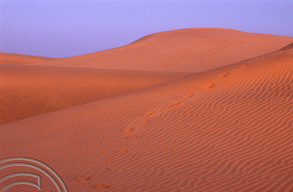 T4324. Dunes in the evening light. Sam Dunes. Rajasthan. India. December 1993.