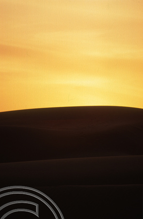 T4328. Sunset in the dunes. Sam Dunes. Rajasthan. India. December 1993.