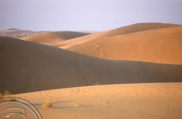 T4341. Sam dunes. Thar desert. Rajasthan. India. December 1993.