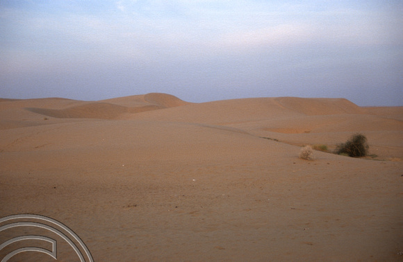 T4342. Sam dunes. Thar desert. Rajasthan. India. December 1993.