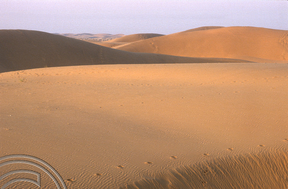 T4346. Sam dunes. Thar desert. Rajasthan. India. December 1993.