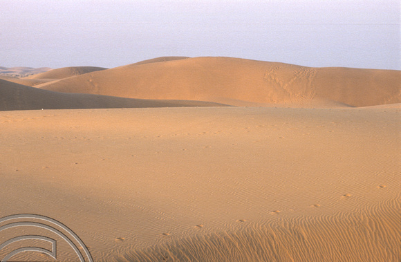 T4347. Sam dunes. Thar desert. Rajasthan. India. December 1993.