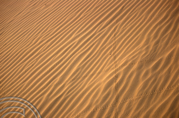 T4348. Patterns in the sand dunes. Thar desert. Rajasthan. India. December 1993.