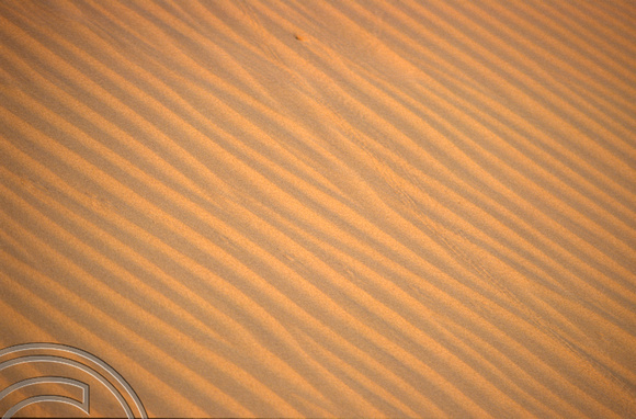 T4349. Patterns in the sand dunes. Thar desert. Rajasthan. India. December 1993.