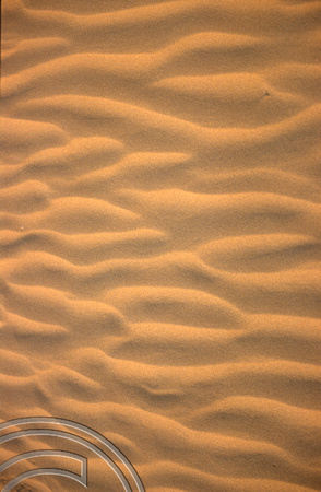 T4350. Patterns in the sand dunes. Thar desert. Rajasthan. India. December 1993.