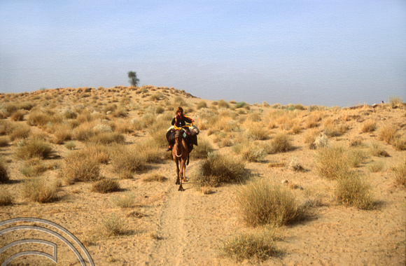 T4357. Lynn riding a camel. Thar desert. Rajasthan. India. December 1993.
