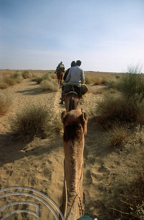 T4360. Riding a camel. Thar desert. Rajasthan. India. December 1993.