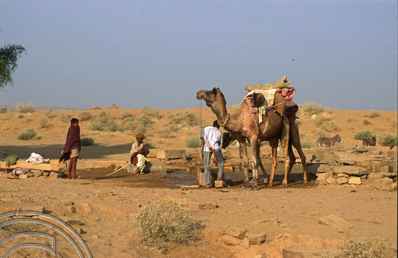 T4364. Drawing water for camels. Thar desert. Rajasthan. India. December 1993.