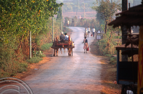 T4445. Bullock cart. Arambol. Goa. India. December 1993.