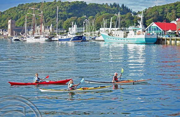 DG378403. Canoeing in the Harbour. Oban. Scotland. 28.8.2022.