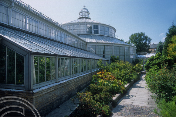 T5384. The Palm House in the botanic gardens. Copenhagen. Denmark. August 1995