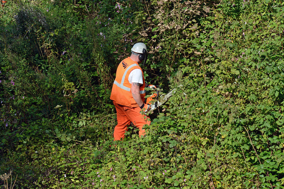 DG192624. Network Rail clearing vegetation. Grindleford. 8.9.14.