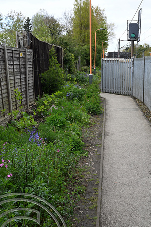 DG414615. Community rail gardening. Wylde Green. 23.4.2024.