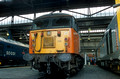 08170. 56102. Old Oak Common open day. 05.08.2000