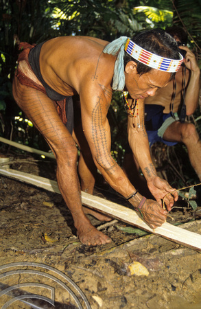 T3767. Cutting bowstrings. Siberut. Mentawai Islands. Indonesia. 1992.