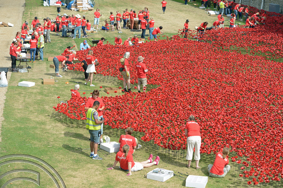 DG188592. WW1 poppy field. Tower of London. London. 9.8.14.
