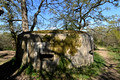 DG443751. Railway line walk and WW2 pillbox. Artington. Guildford. Surrey. 7.4.2025.