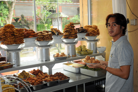 DG100731.Padang food. Ubud. Bali. 12.1.12.