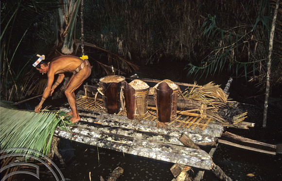 T3805. Refining sago. Siberut. Mentawai Islands. Indonesia. 1992.