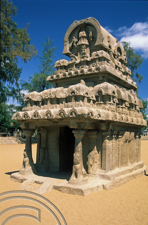 T6621. Five rathas. Mahabalipuram. Tamil Nadu. India. 1998.