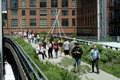 DG296862. Walking the High Line. New York. USA. 23.5.18