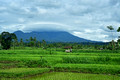 DG437288. Mount Argopuro. East Java. Indonesia. 21.1.2025.