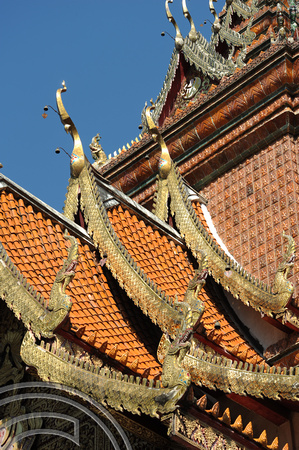 DG74515. Wat Bupparam. Chiang Mai. Thailand. 14.2.11.