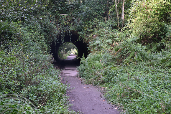 DG427322. The Middlewood way. Middlewood. 13.9.2024.