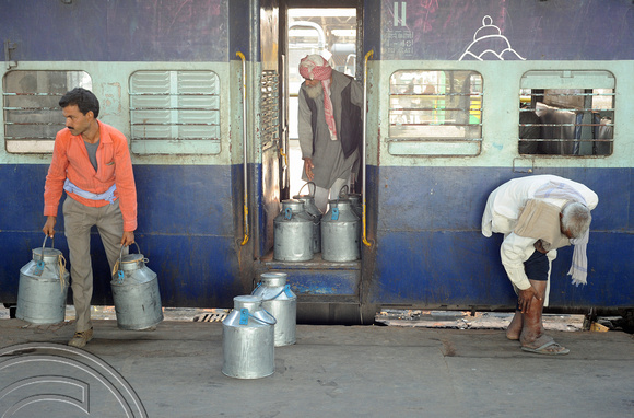 DG70232. Collecting milk churns. Lucknow. India. 15.12.10.