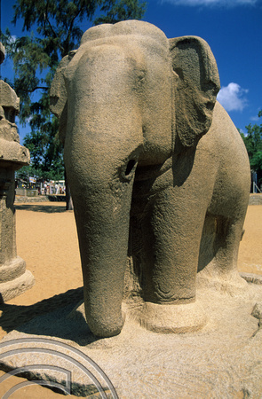 T6619. Five rathas. Mahabalipuram. Tamil Nadu. India.  1998.